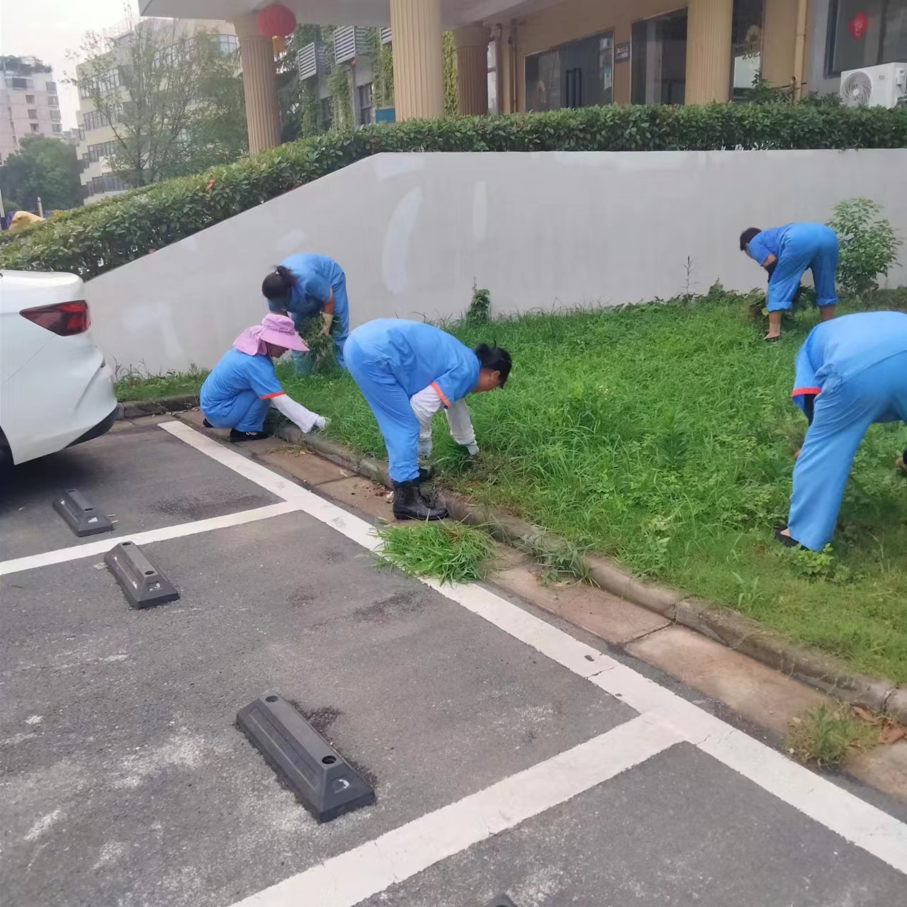 “園區勤打理，綠化正當時”——廬陽建華文創園積極開展環境美化工作